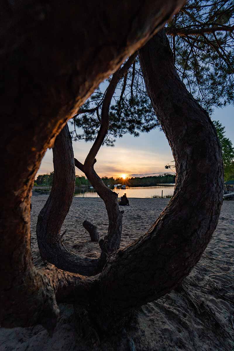 Dauercamping unter Kiefern